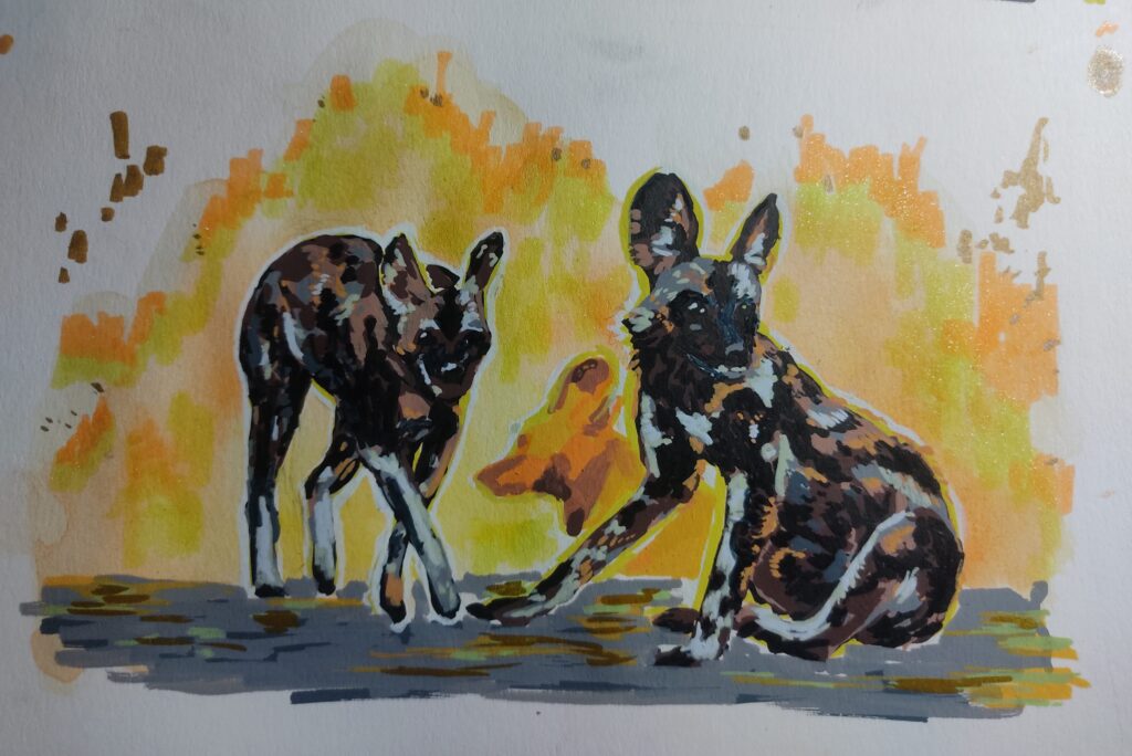 A drawing of some African wild dogs / painted dogs