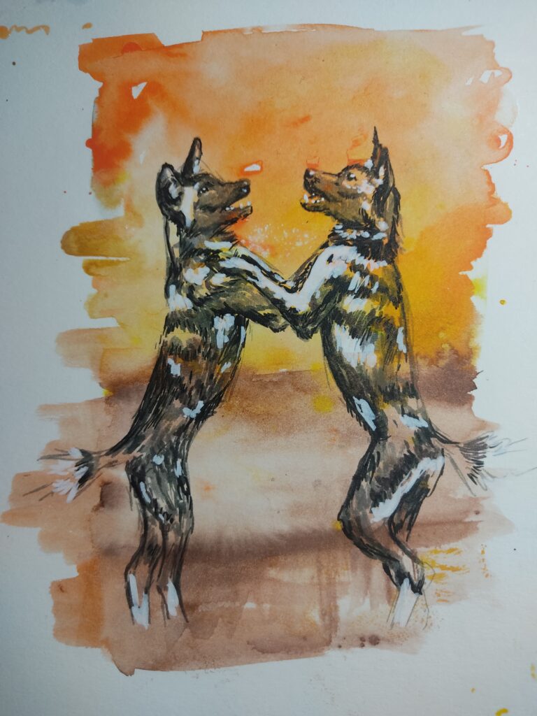 An illustration of two African wild dogs jumping at each other